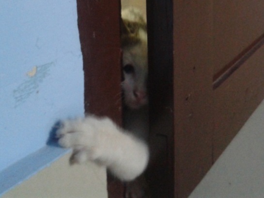 Let me in! Let me in...I want to sleep in that particular room too :D