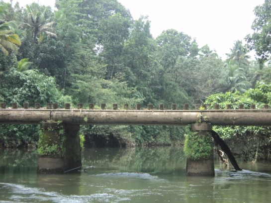 A bridge on which you will drive your car. It is part of nature :D
